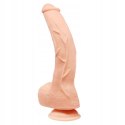 Realistyczne duże dildo z jądrami 27 cm Baile Skin - miękkie, przyssawka